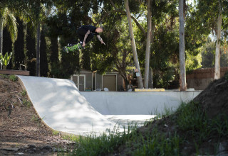 Collin Right at Home