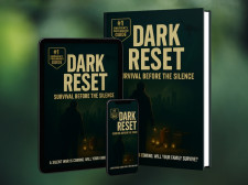 Dark Reset Survival Before the Silence