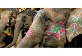 Photography Expedition in India