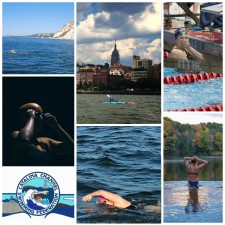 Seven Sisters Women Marathon Open Swimmers