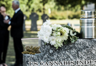 https://www.linkedin.com/pulse/marijuana-industry-dead-curt-dalton/