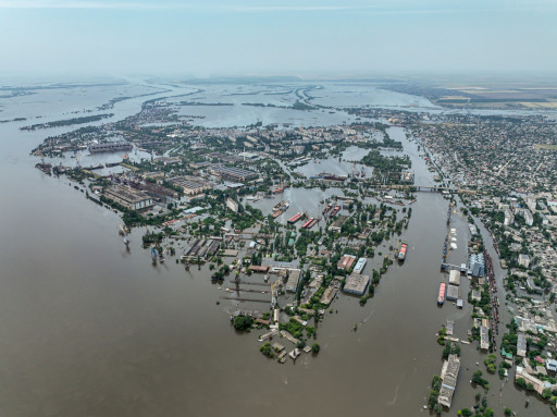 Ukrainian Nature Conservation Group Documents Unprecedented Ecological Recovery Following Kakhovka Dam Destruction