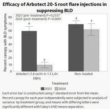 Beech Leaf Disease Proof