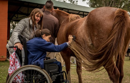 Suzette Belgarde Looks at Hippotherapy and Parkinson's Disease