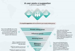 Bitmora Voting Tiers