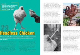 Headless 'Mike' Chicken 