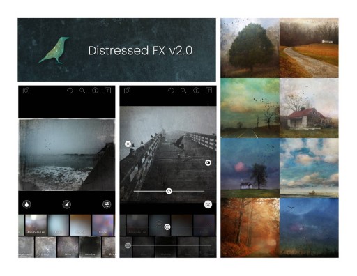 After a Million Downloads and Now a Major Update, Cheryl Tarrant Tells How She Broke Into the World of Apps