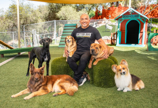 Cesar Millan with his dogs at the Dog Psychology Center in Santa Clarita, CA.