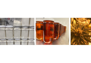 CBD Life Sciences Inc., Wednesday, February 10, 2021, Press release picture