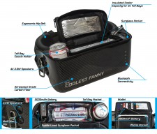 The Coolest Fanny Infographic