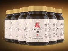 Solomon’s Secret Reviews 2025