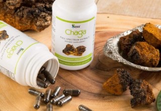 Chaga Capsules