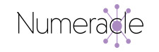 Numeracle Logo