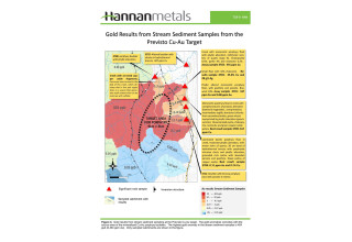 Hannan Metals Ltd., Wednesday, January 27, 2021, Press release picture
