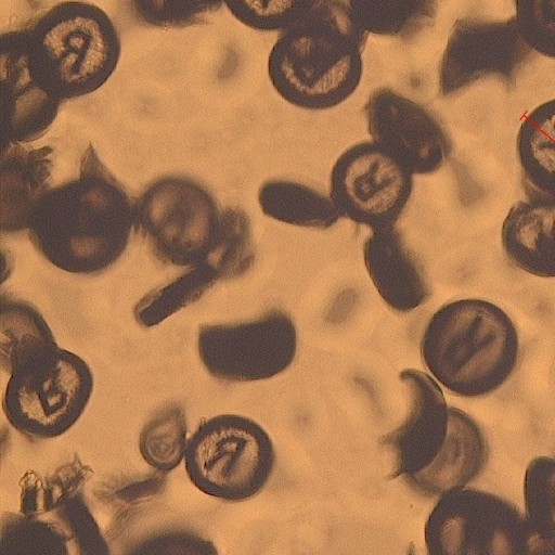 Revolutionary Nanomarker(TM) Technology Introduces Integrated Forensic Authentication for Brand Owners Worldwide