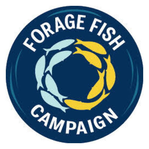 Forage Fish Campaign Launches "Where's the Bait?" Tour Across East Coast to Spotlight Coastal Businesses Impacted by Industrial Forage Fishing
