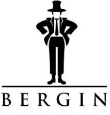 Bergin Company Logo