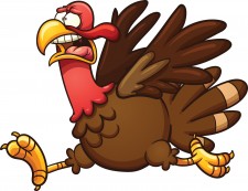 Don't Be A Debt Consolidation Turkey!