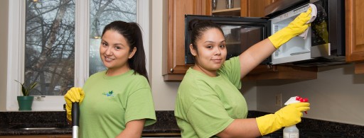Fresh Tech Maid Provides Free Flu Buster Cleanings During the Illinois Flu Season