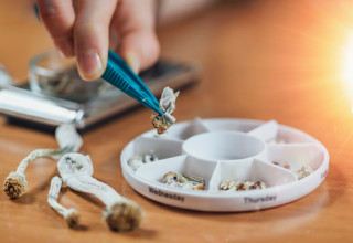 Kaya Holdings, Wednesday, January 25, 2023, Press release picture