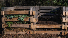 Compost Bins