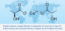 Calcium Lactate Market