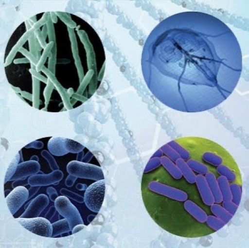 xTAG® Gastrointestinal Pathogen Panel (GPP) Now Available Through Accu Reference Medical Lab