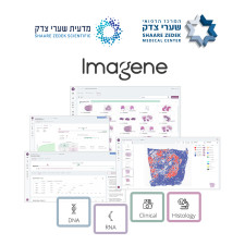 Imagene AI Oncology Intelligence Suite