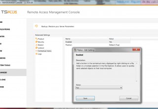 TSplus "Advanced Settings" tab offers many customization options