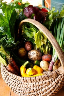 High altitude farming at Knapp Ranch