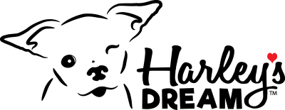 Harley's Dream