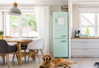 Fresh Start Weekly Magnetic Planner