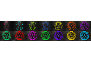 Tulip-Shaped Orbit Trajectories