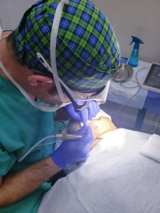 Dr. Smith With Trivellini Hair Transplant Tool