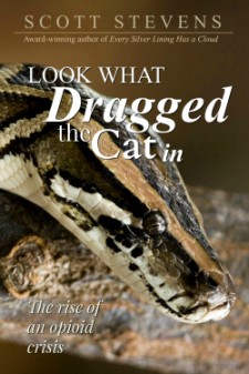 Look What Dragged the Cat In: The Rise of an Opioid Crisis