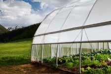 Colorado's Knapp Ranch