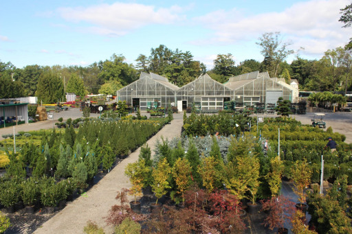 Hicks Commercial Sales Stands Out Among Wholesale Nurseries