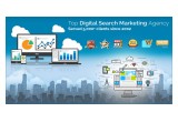 Top SEO Services