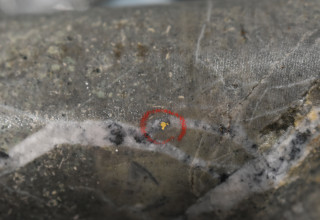 Mawson Gold Limited, Tuesday, May 16, 2023, Press release picture