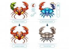 CryptantCrab Xenograft