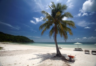 Scott J. Cooper Miami