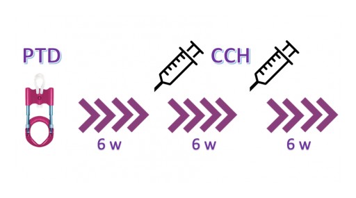 2019 Penile Traction Device Reduces the Use of Collagenase in Peyronie's Disease