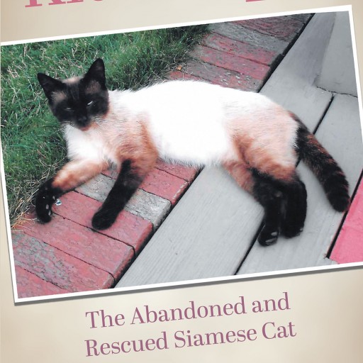 Author Trudy McEwen's New Book "Kitti Puppi" is the Heartwarming Story About a Cat Who Was Adopted by an Elderly Couple.