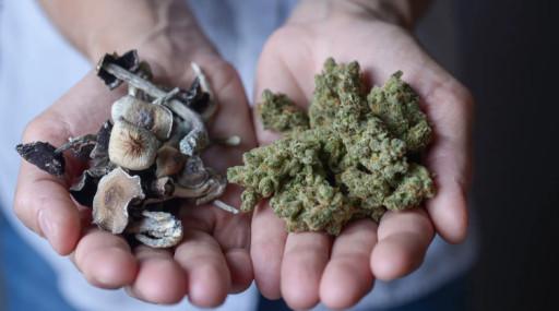 CBD Life Sciences Inc. (CBDL) Reports 1,502.30% Revenue Increase from January to May 2025