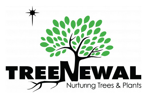 TreeNewal Unveils New Logo and Website, Enabling New Growth