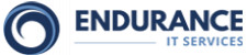 Endurance IT Services