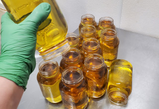 CBD Life Sciences Inc., Wednesday, January 27, 2021, Press release picture