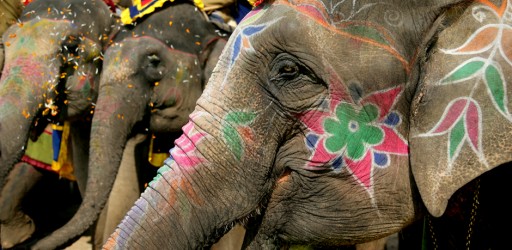 The World's Most Creative and Inspiring Photography Destination Workshop to India