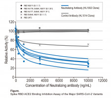 Variant Spike RBD-ACE2 Binding Inhibition Assay