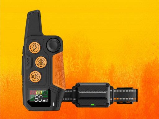 Petootsy Remote Training Collar Review 2025: Safe Dog Obedience and Behavior Control Guide
